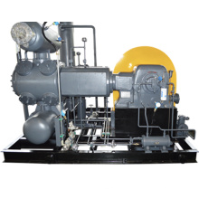 Electronic Industry professional  use High pressure oil free Gas Compressor